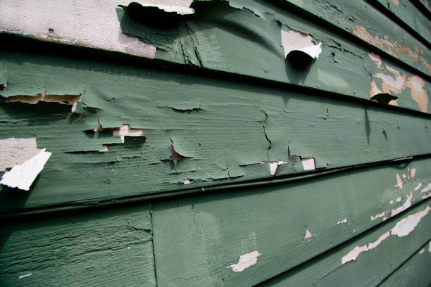 Siding Removal and Disposal in Spring Valley, WI