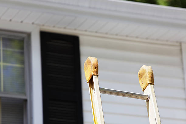 Professional Siding Installation & Repair in Spring Valley, WI